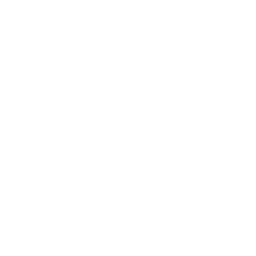 embroidery icon